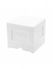 Mini plus beehive with hygienic bottom - polystyrene